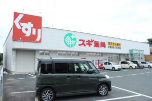 周辺 スギ薬局 小坂井店(1280m)