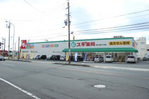 周辺 スギ薬局 本野ヶ原店(40m)