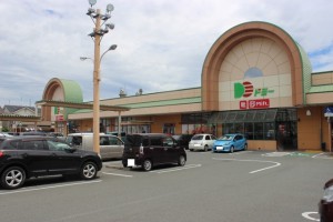 周辺 ドミー小坂井店(1750m)