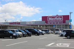 周辺 マックスバリュ豊橋南店(2070m)