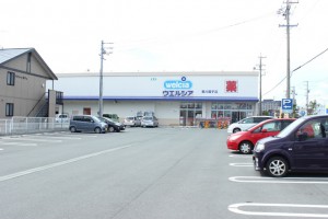 周辺 ウエルシア豊川蔵子店(280m)