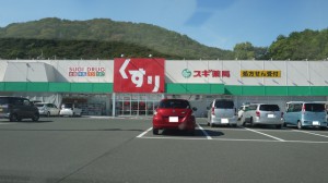 周辺 スギ薬局 二川店(1350m)