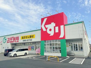周辺 スギ薬局田原店(670m)