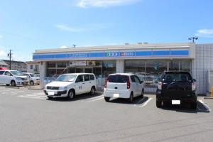 周辺 ローソン 豊橋前芝店(490m)