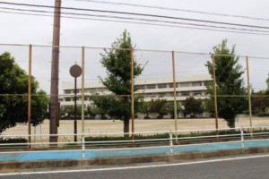 周辺 中野小学校(880m)