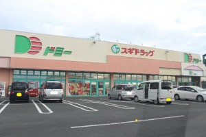 周辺 ドミー神野店(570m)