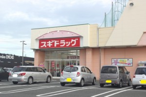 周辺 スギ薬局 神野店(400m)