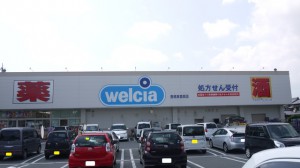 周辺 ウエルシア豊橋東森岡店(220m)