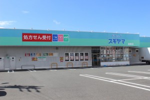 周辺 ドラッグスギヤマ高師店(500m)