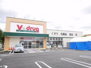 周辺 Vドラッグ豊橋西岩田店(500m)