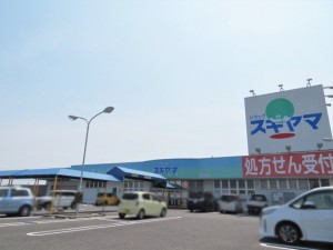周辺 ドラッグスギヤマ 形原店(800m)