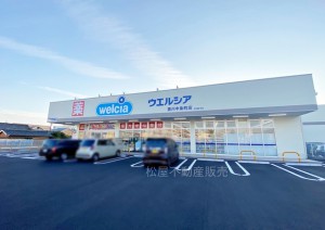 周辺 ウエルシア豊川中条町店(190m)