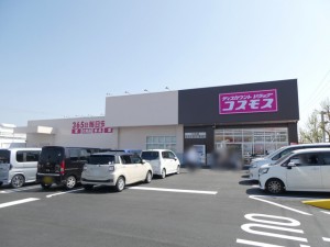 周辺 コスモス小向店(1100m)