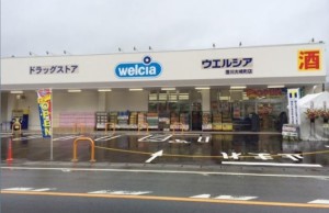 周辺 ウエルシア豊川大崎町店(4110m)