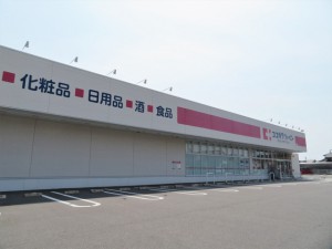 周辺 ココカラファイン形原店(450m)