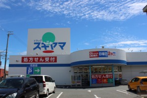 周辺 ドラッグスギヤマ花田店(670m)