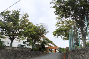 周辺 芦原小学校(760m)