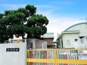 周辺 柱保育園(210m)