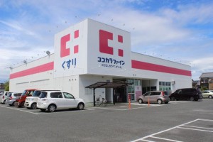 周辺 ココカラファイン吉川店(450m)