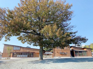 周辺 二川幼稚園(890m)