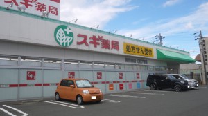 周辺 スギ薬局 西岩田店(750m)