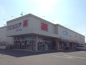 周辺 ウエルシア豊橋平川本町店(1100m)