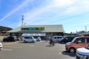 周辺 グリーンセンター音羽店(1400m)