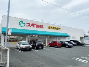 周辺 スギ薬局 御油店(590m)