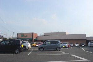 周辺 ドミーつつじが丘店(430m)