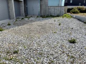 その他画像 広々5台以上駐車可能物件!!お友達が遊びに来た時も安心!