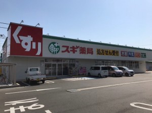 周辺 スギ薬局 豊川野口店(710m)