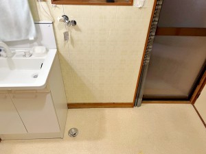 その他画像 洗面脱衣室内、洗濯機置き場