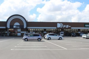 周辺 ドミー渡津店(790m)