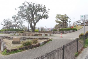周辺 遠通公園(160m)
