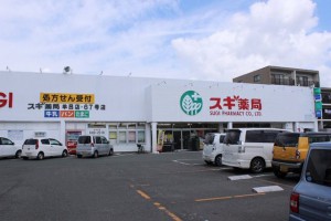 周辺 スギ薬局 牟呂店(430m)