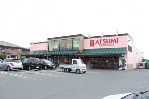 周辺 フードオアシスあつみ宿店(630m)