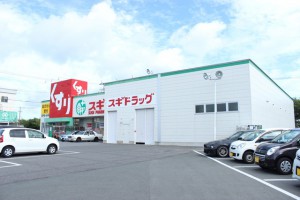 周辺 スギ薬局 蔵子店(1130m)