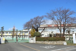 周辺 一宮中学校(290m)