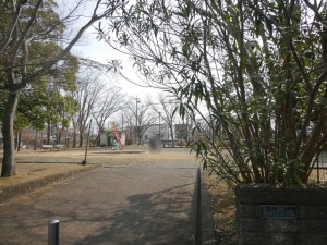 周辺 高山緑地(190m)