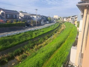 その他画像 閑静な住宅地です