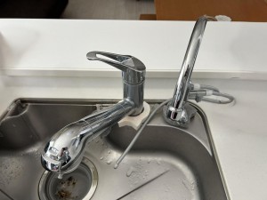 その他画像 蛇口の先端に浄水器を内蔵。浄水器ごとホースを引き出せるのでシンクのお掃除も楽々