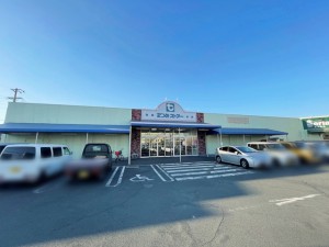 周辺 たつみストアー大清水店(850m)