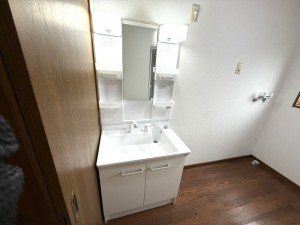 その他画像 収納スペース豊富な洗面台。シャワー付きでお手入れや朝の身支度にも便利です。