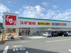 周辺 スギ薬局田原西店(1190m)