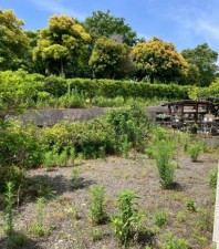 外観 ハーブやお花を植えてガーデニングを楽しんだり、プール遊びやバーベキューを満喫したりと、使い方は自由自在。陽当たりの良い南庭で、ご家族やご友人との楽しい時間を過ごせるのも魅力です。