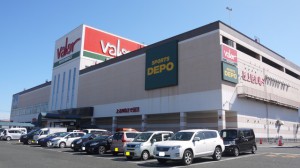 周辺 バロー豊橋店(350m)