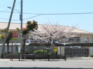 周辺 蒲郡中学校(1390m)