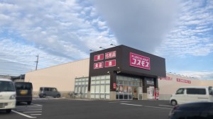 周辺 コスモス八百富店(660m)